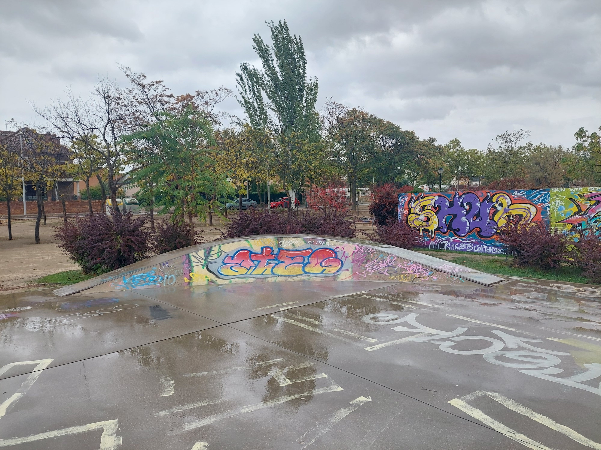 Poniente skatepark